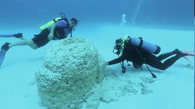 Finding Stromatolites