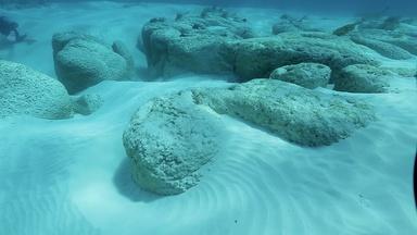 Stromatolites Were Kings