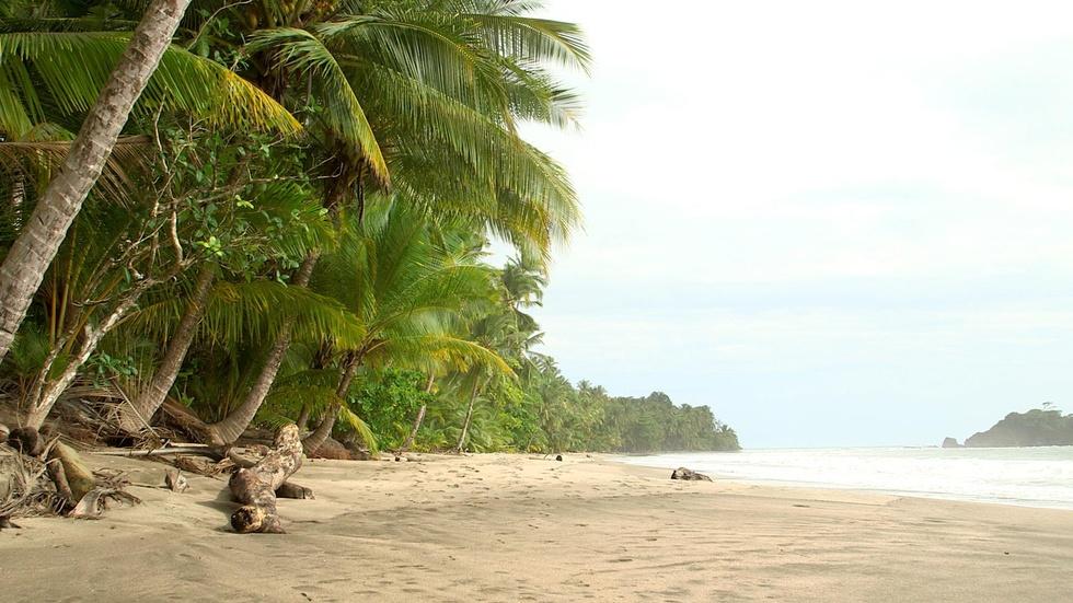 S42 Ep21: How Panama Changed the World image