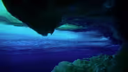 A Cathedral of Ice