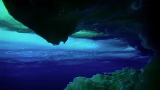 A Cathedral of Ice