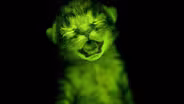 The Hidden Fluorescent World