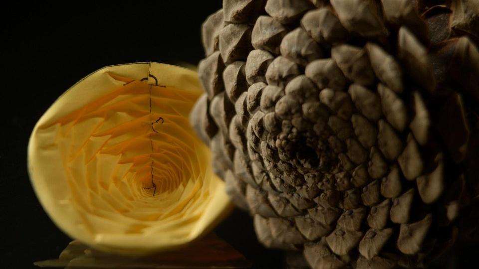 The Origami Revolution Season 44 Episode 5 NOVA PBS