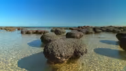 Australia's First 4 Billion Years: Awakening