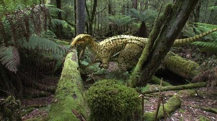 Video thumbnail: NOVA Australia's First 4 Billion Years: Monsters