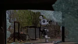 Bomb Squad Robots