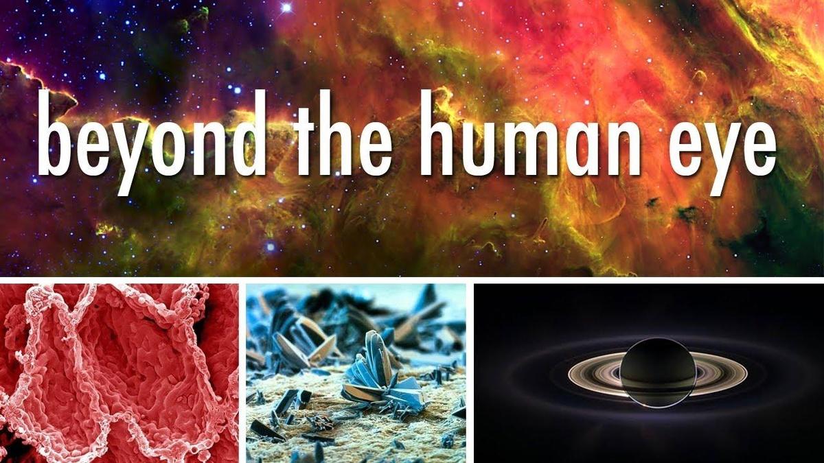 Writer's Eye Seeing Beyond the Human Eye | Off Book | WLIW