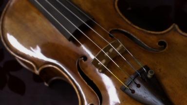 The Stolen Stradivarius Violin
