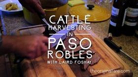 Video thumbnail: Original Fare Cattle Harvest in Paso Robles
