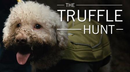 Video thumbnail: Original Fare The Truffle Hunt