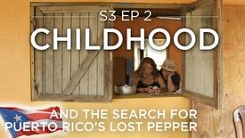 Childhood (And the Search for Puerto Rico's Lost Pepper): asset-mezzanine-16x9