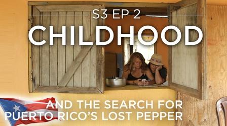 Video thumbnail: Original Fare Childhood (And the Search for Puerto Rico's Lost Pepper)
