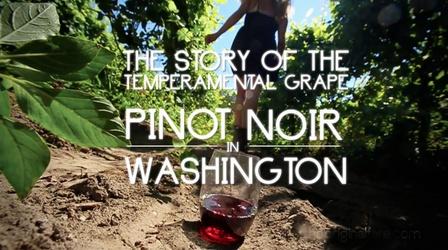 Video thumbnail: Original Fare Pinot Noir in Washington
