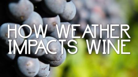 Video thumbnail: Original Fare How Weather Impacts Wine