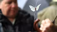 Butterfly | Behind the Scenes