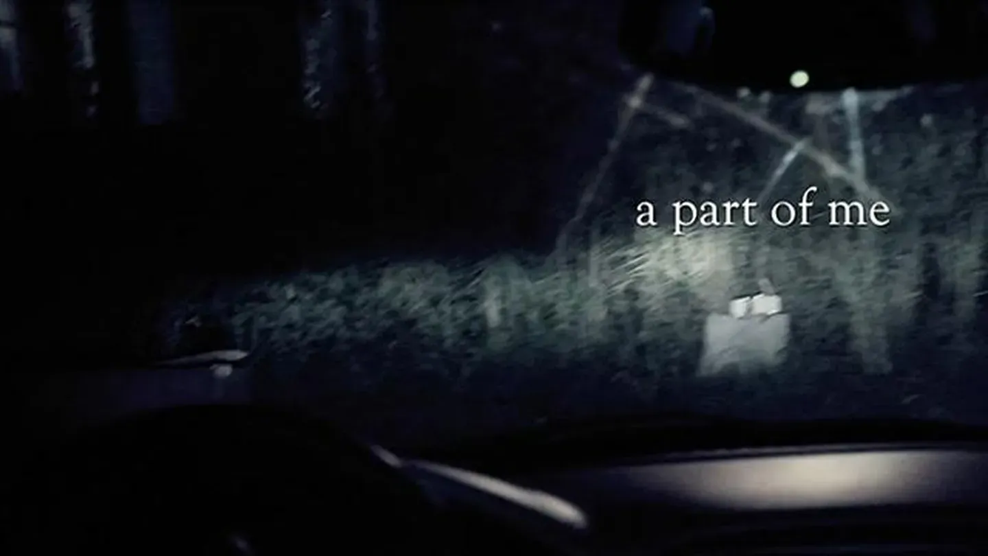 2014 Festival | A Part of Me, Apart from Me