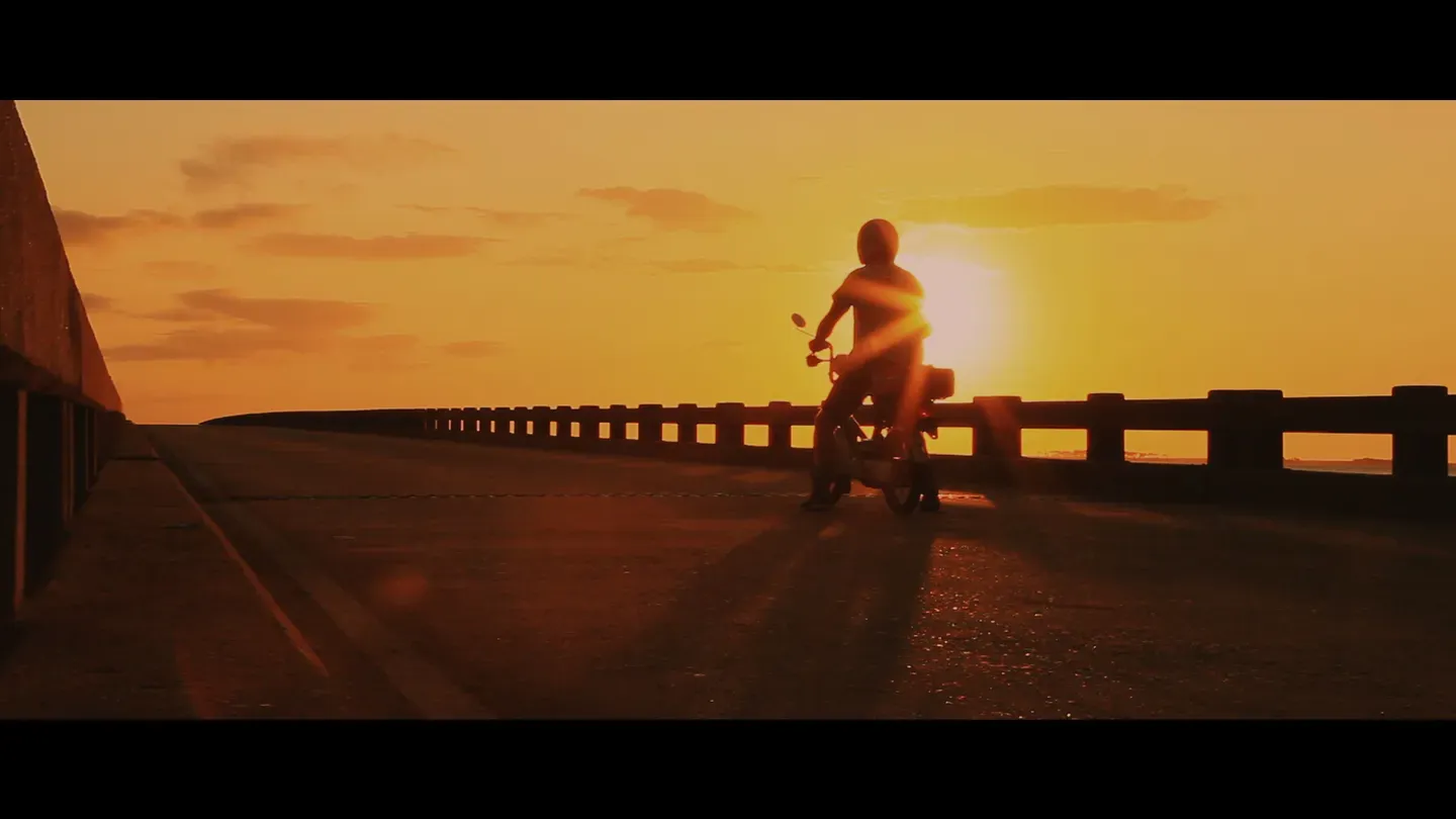 2016 Festival | The Moped Diaries