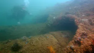 Sunken Relics Revealed