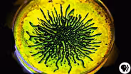AMAZING! Ferrofluid and Glow Sticks