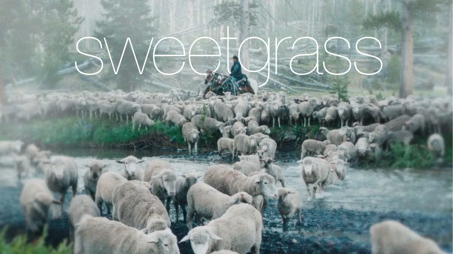 Mobile Exclusive: Sweetgrass