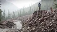 If a Tree Falls: A Story of the Earth Liberation Front...