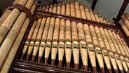 Organ Musicians