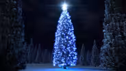 Blue Christmas