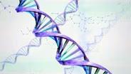 Personalized Genetic Testing