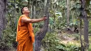 Forest Monks