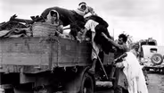 Palestinian Refugee Camps in Lebanon
