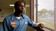 Juvenile Life Without Parole