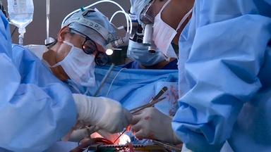 Affordable Heart Surgery; Jewish Environmentalism