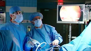 Kidney Donors and Faith Communities