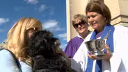 Blessing of the Animals