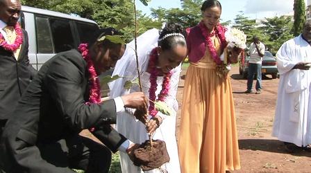 Video thumbnail: Religion & Ethics NewsWeekly Kilimanjaro Trees