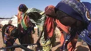 Darfur Report