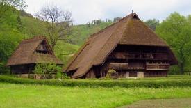 Germany's Black Forest and Cologne: asset-mezzanine-16x9