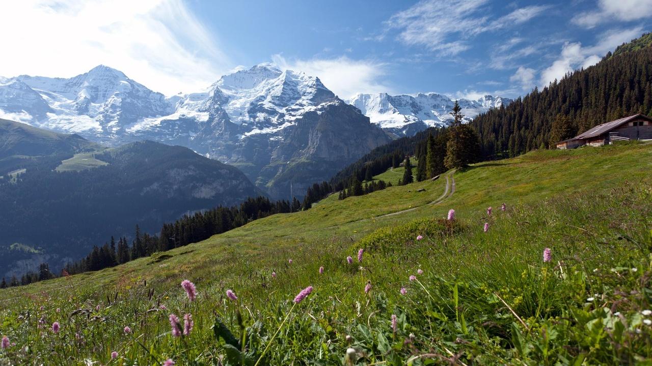 Rick Steves' Europe Switzerland's Jungfrau Region: Best of the Alps airing Mon, Sep 7 10:00 am
