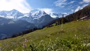 Switzerland's Jungfrau Region: Best Of The Alps