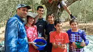 Palestine Preview