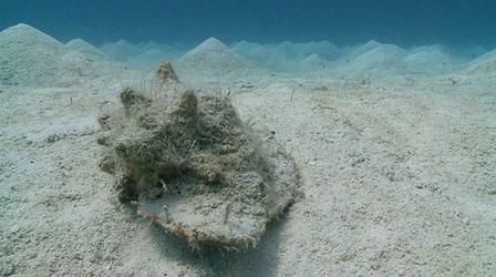 Video thumbnail: Saving the Ocean A Queen's Journey