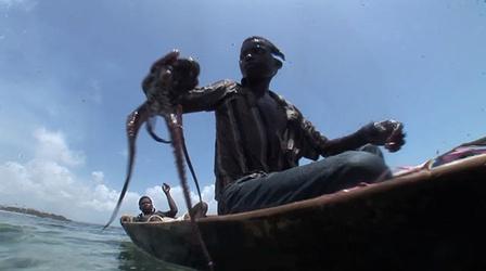 Video thumbnail: Saving the Ocean Octopus Fishing in Pemba