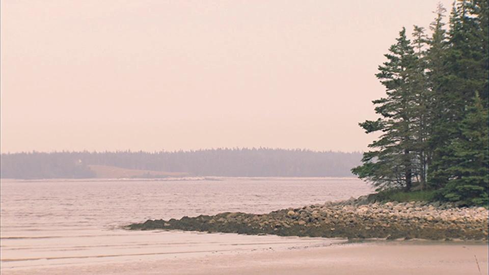 Salmon Mating | Saving the Ocean | PBS