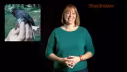 Danielle Whittaker: Smellraiser
