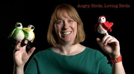 Video thumbnail: Secret Life of Scientists and Engineers Danielle Whittaker: Angry Birds, Loving Birds