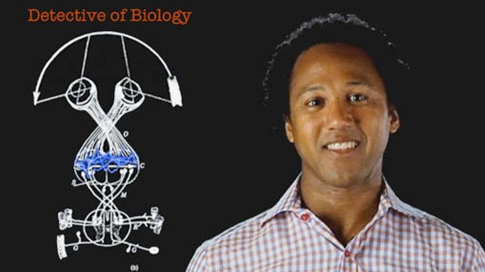 Andre Fenton: Detective of Biology image