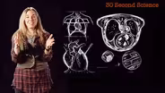 Caryn Babaian: 30 Second Science