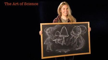 Caryn Babaian: The Art of Science