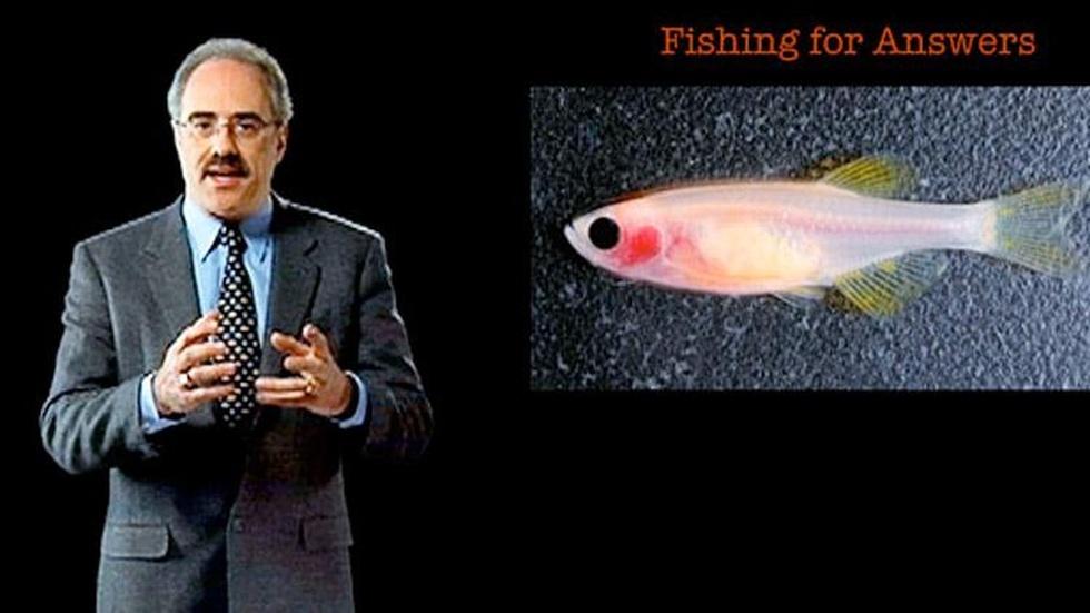 Len Zon: Fishing for Answers image