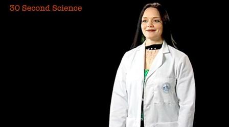 Rachel Collins: 30 Second Science